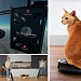 фото: Пылесос Roborock 8 MaxV Ultra в космосе и Dreame H13 Pro